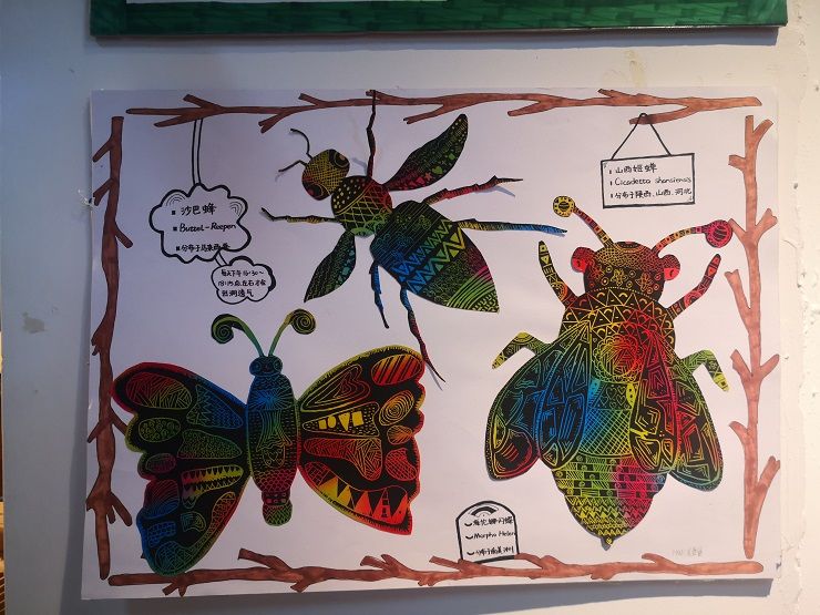 手工、画  (19).jpg